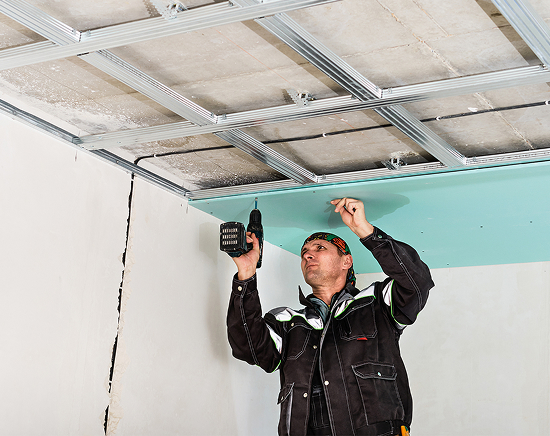 Termite Inspection and Control